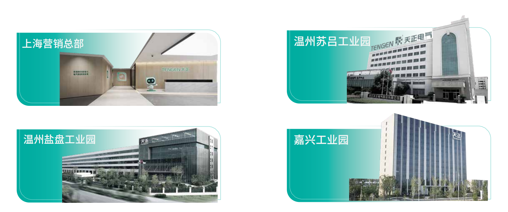 蘑菇视频免费网站入口企业画册_02.png